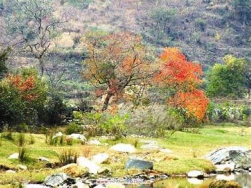 探秘林区 自驾旅游线路推荐之神农架