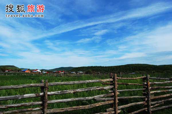 莫尔道嘎的杜鹃坡