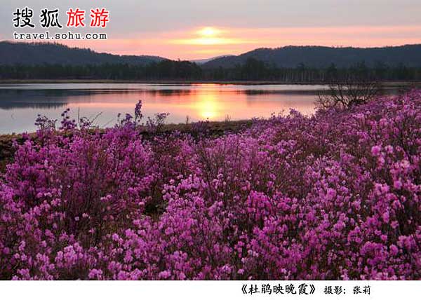 北国第一花盛开 扎兰屯游玩指南